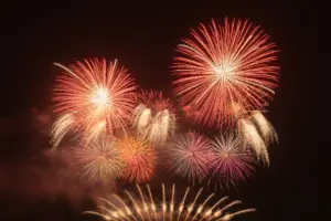Red, gold and purple fireworks bursting across a dark night sky on New Year's Eve.