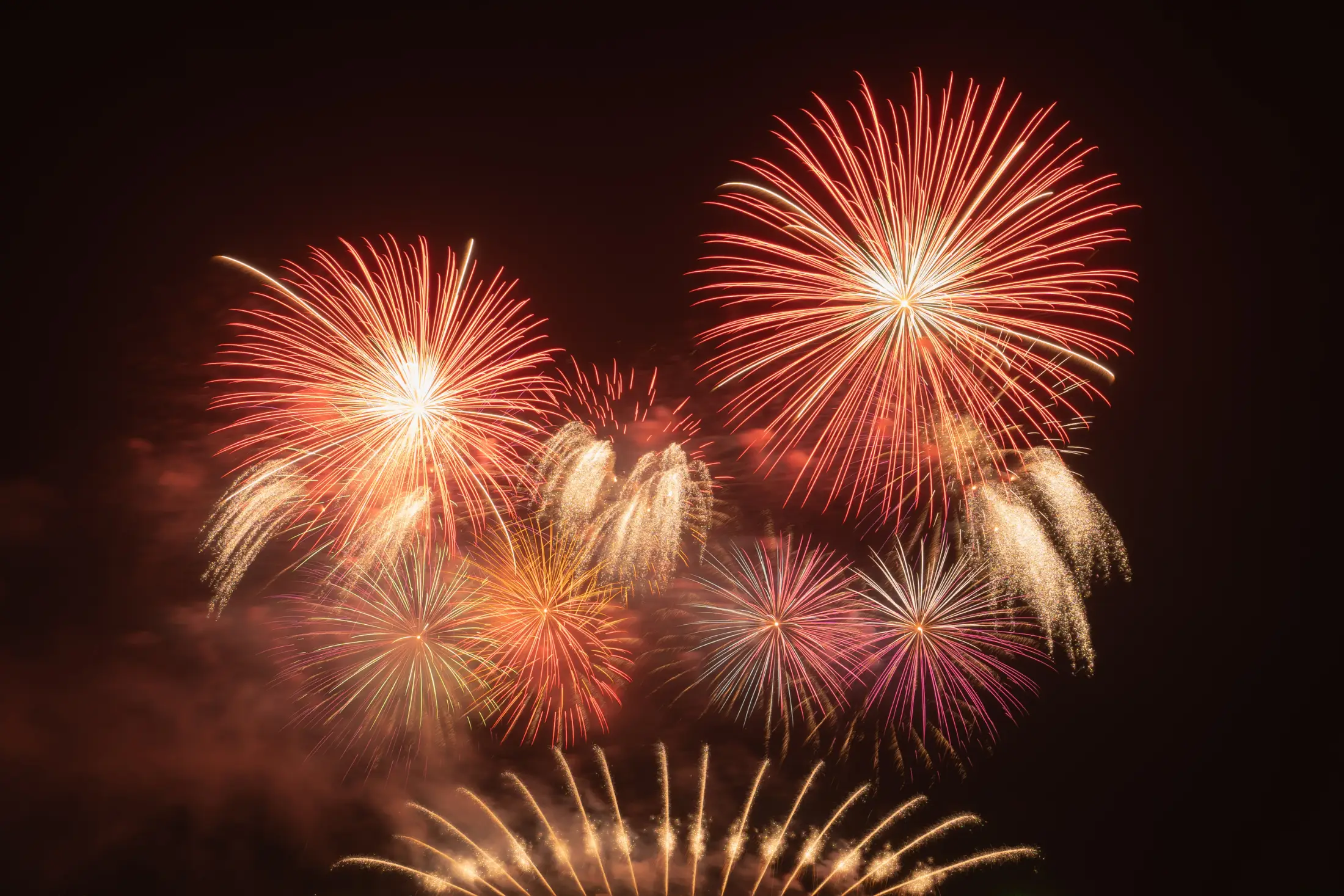 Red, gold and purple fireworks bursting across a dark night sky on New Year's Eve.